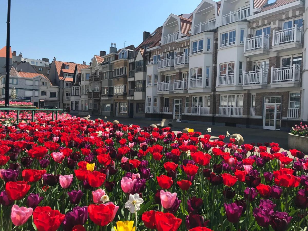 Appartement Giulia Knokke-Heist Eksteriør bilde